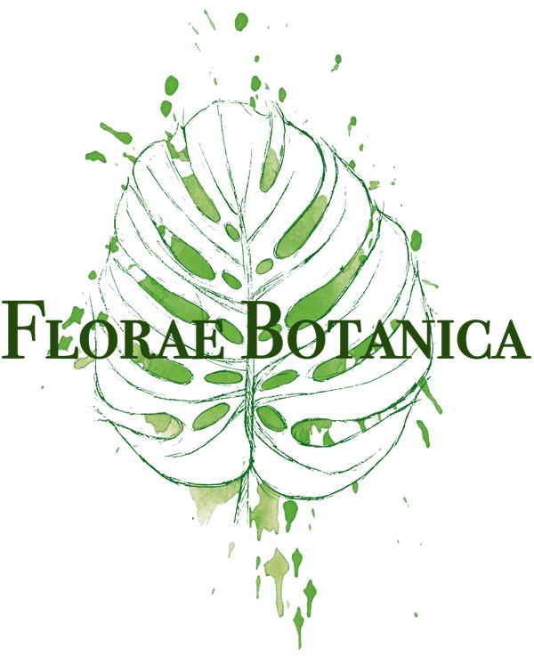 Florae Botanica